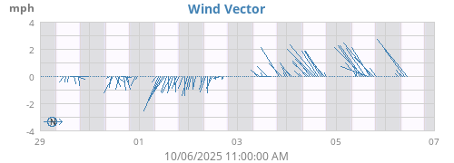 Wind Vector